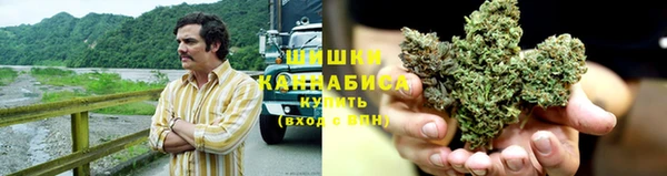 прущие грибы Армянск