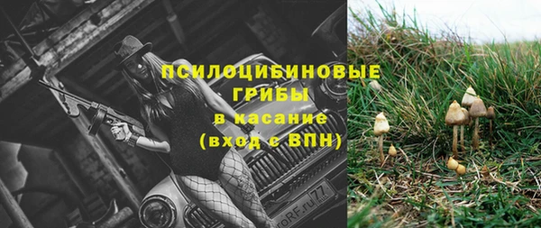 соль ск Семилуки