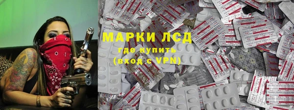 хмурый Алзамай