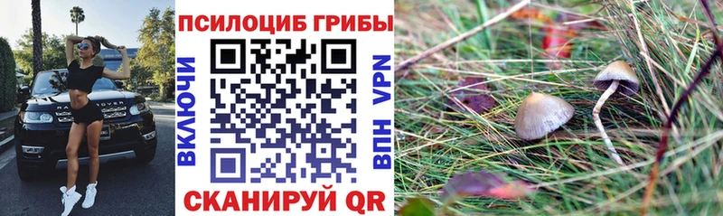 Псилоцибиновые грибы MAGIC MUSHROOMS  что такое наркотик  Чапаевск 